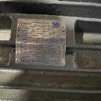 Teco Westinghouse Max-PE Inverter Duty Motor image 1